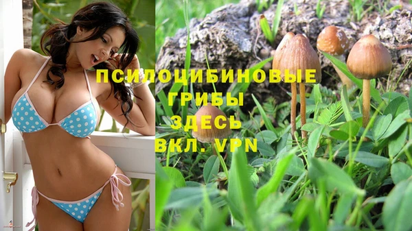 мдма Богородицк